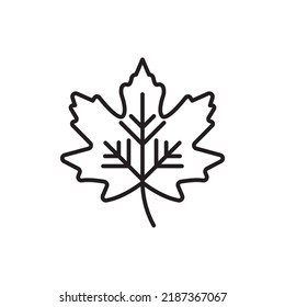 Maple Leaf vector Outline Icon Design illustration. Halloween Symbol on White background EPS 10 File