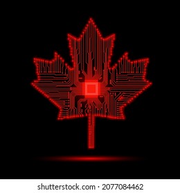 Maple leaf vector shape icon. Forest and wood symbol sign. Nature tree logo. Maple leaf of canada