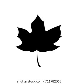 Maple leaf vector template