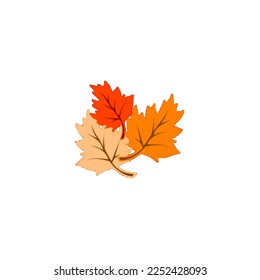 Maple leaf vector that can be used for your various illustrations
