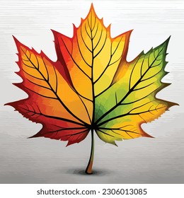 Maple leaf, watercolor vector art design collection