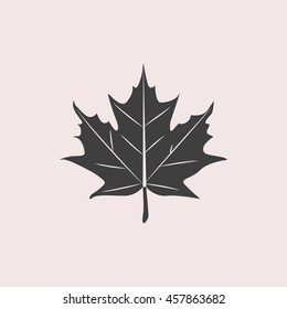 Maple leaf web icon. Isolated illustration