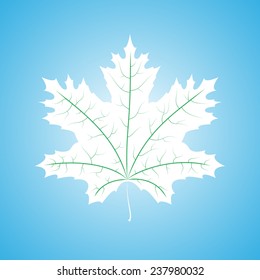 Maple Leaf White
