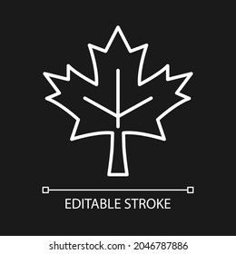 Maple leaf white linear icon for dark theme. Central element of canadian national flag. Thin line customizable illustration. Isolated vector contour symbol for night mode. Editable stroke