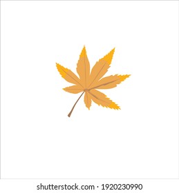 Maple Leaf in Yellow color