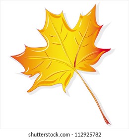 maple leaf yellow, isolated on white background vector