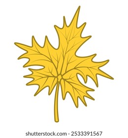 Maple leaf. Yellow part of the tree with veins. Color vector illustration. Cartoon style. Isolated background. The shape of the leaf is crown-shaped. Idea for web design.