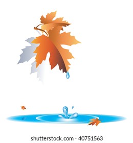 maple leafs