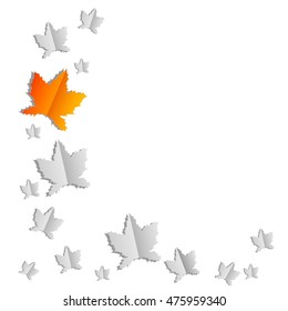 Maple leafs