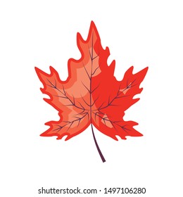 maple leafs autumn pattern background