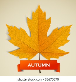 Maple leave with autumn banner