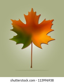 Maple leave in gradient autumn colors