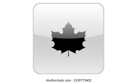 Maple leave icon vector design. Fall icons vector