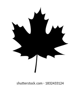 Maple leave icon vector design  Fall icons vector