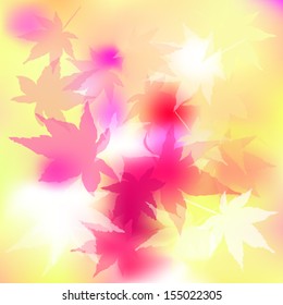 maple leaves