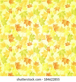 maple leaves