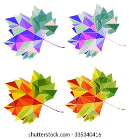 Maple leaves 
