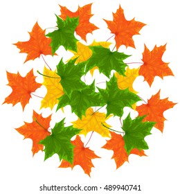 maple leaves,