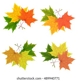 maple leaves,