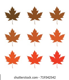maple leaves