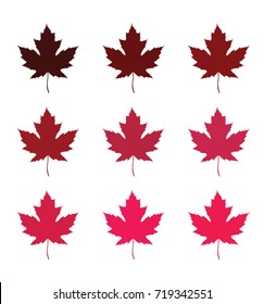 maple leaves