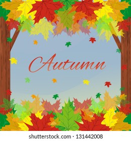 Maple leaves autumn
