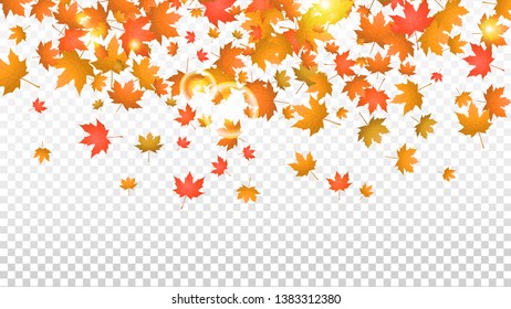 Maple Leaves Autumn Background. Fall Season Banner Design Template. Vector Illustration.