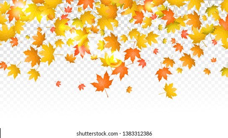Maple Leaves Autumn Background. Fall Season Banner Design Template. Vector Illustration.