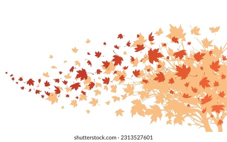 Maple leaves. Autumn background with maple leaves flying and falling from the tree. Isolated on white background. Vector