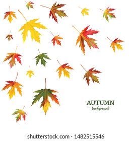 Maple leaves. Autumn background. Red. Yellow. Green.