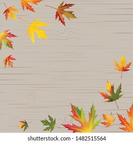 Maple leaves. Autumn background. Red. Yellow. Green.