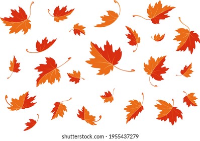 Maple leaves. Autumn background template with flying and falling leaves. Pattern of red and orange autumn leaves. Isolated. Vector illustration