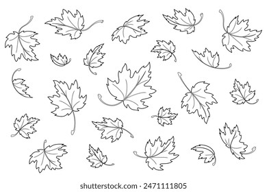 Maple leaves. Autumn background template with flying and falling leaves. Isolated black outline on white background. Vector illustration