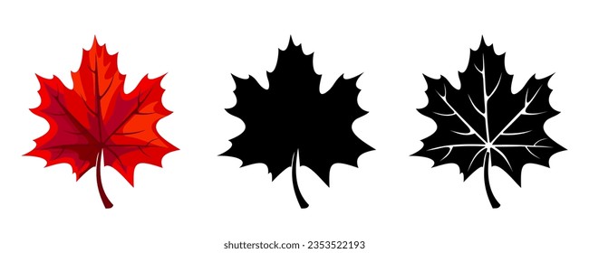 Hojas de arce. Hojas de arce rojas de otoño y siluetas negras de hojas de arce aisladas en un fondo blanco. Ilustraciones vectoriales
