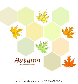 maple leaves autumnal vector background