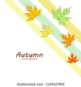 maple leaves autumnal vector background