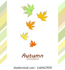 maple leaves autumnal vector background