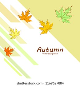 maple leaves autumnal vector background