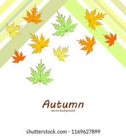 maple leaves autumnal vector background