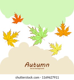 maple leaves autumnal vector background