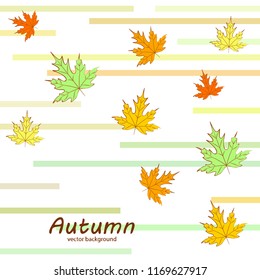 maple leaves autumnal vector background