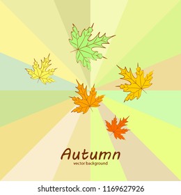 maple leaves autumnal vector background