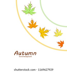 maple leaves autumnal vector background