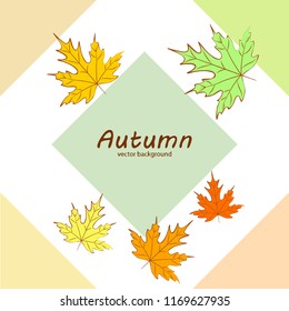 maple leaves autumnal vector background