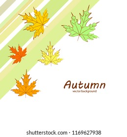 maple leaves autumnal vector background