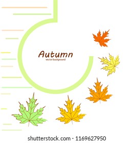 maple leaves autumnal vector background