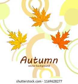 maple leaves autumnal vector background