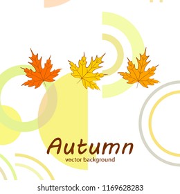 maple leaves autumnal vector background