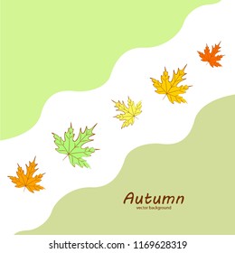 maple leaves autumnal vector background
