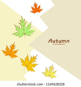 maple leaves autumnal vector background